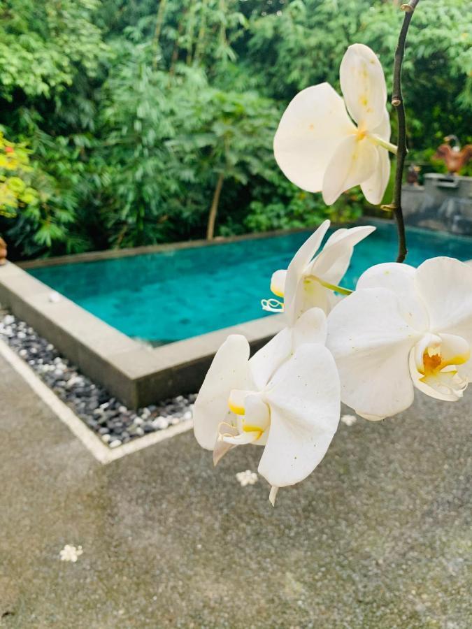Gek House Ubud Kültér fotó