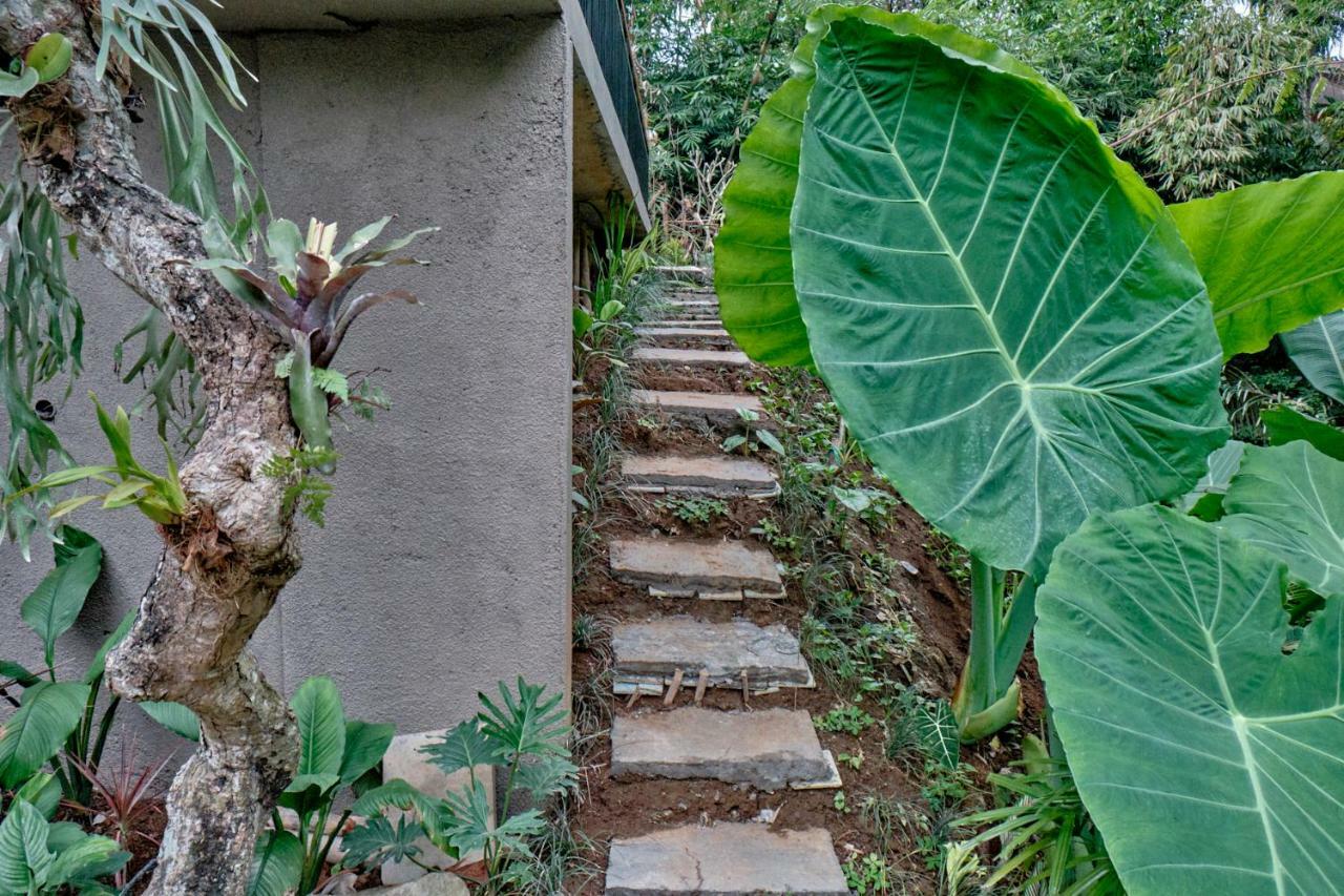 Gek House Ubud Kültér fotó